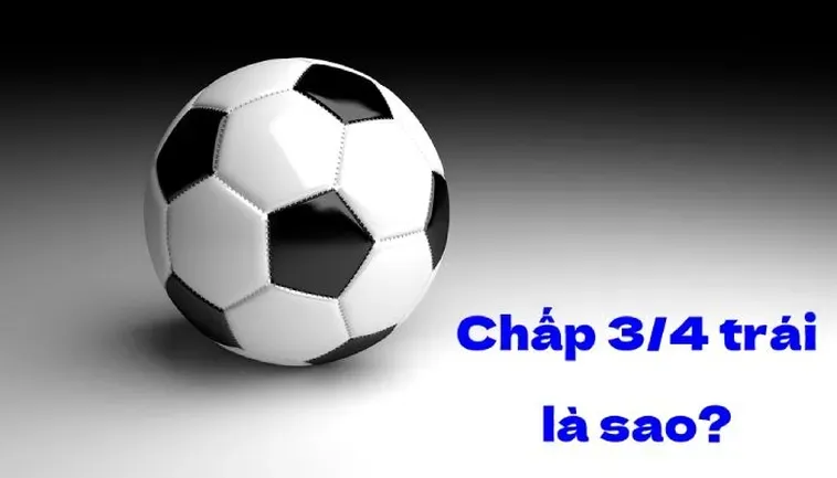 Phương Pháp Soi Kèo Chấp 0.75 Đảm Bảo Ăn Trọn Tiền Thưởng Mỗi Ngày