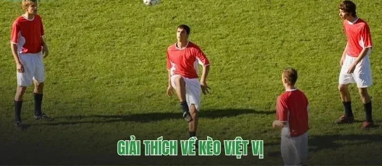 Hướng Dẫn Cách Soi Kèo Việt Vị Luôn Thắng Cho Anh Em Dân Chơi