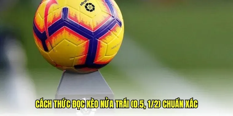 Cách Chinh Phục Kèo Chấp 0.5 Luôn Mang Lại Lợi Nhuận Cực Cao