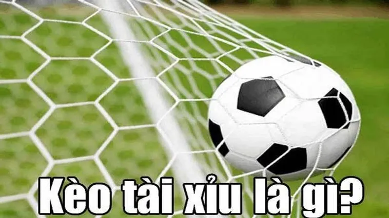 Những Phương Pháp Soi Kèo Tài Xỉu Bóng Đá Hiệu Quả Cho Người Mới