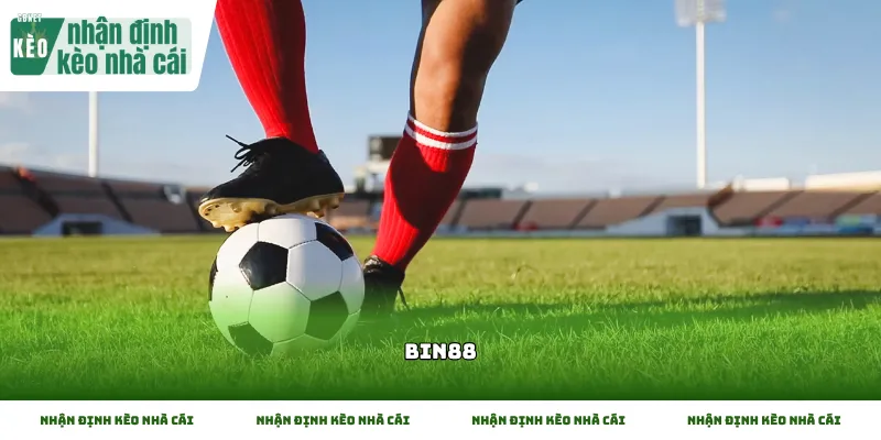 Tổng quan các yếu tố cần biết về nhà cái Bin88