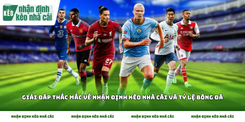 Giải đáp thắc mắc về nhận định kèo nhà cái và tỷ lệ bóng đá
