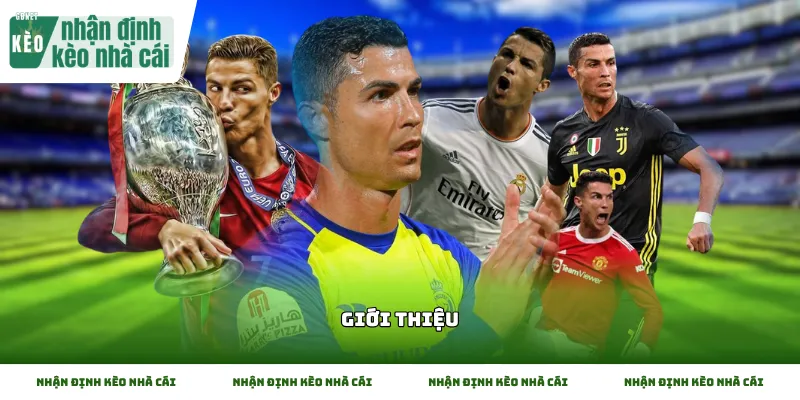 Giới thiệu không gian phân tích kèo nhà cái chuyên nghiệp tại GBnet