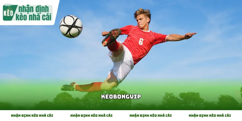 Trang dữ liệu Keobongvip cung cấp thông tin thể thao ổn định