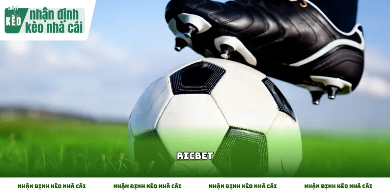 Tổng quan các dòng kèo chính đang có mặt tại nhà cái Ricbet
