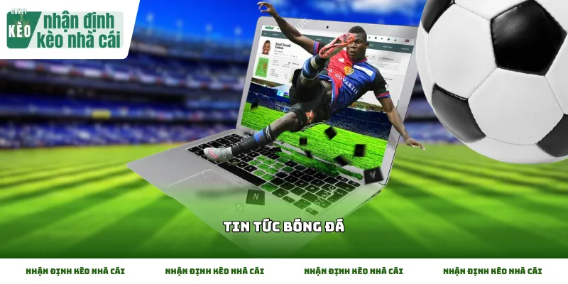 Cách khai thác tin tức bóng đá và dữ liệu thể thao hiệu quả